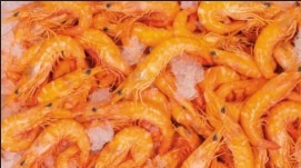 40/60 crevettes bio cuites : photo du produit rappelé le 18/09/2026