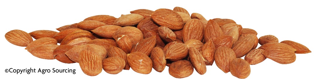 Amandons d'abricots biologiques de turquie : photo du produit rappelé le 05/07/2023