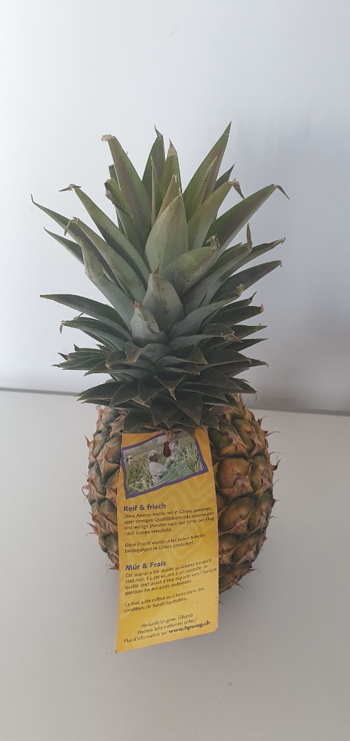 Ananas avion cayenne ghana Bomarts : photo 2 sur 3 du produit rappelé le 06/03/2023