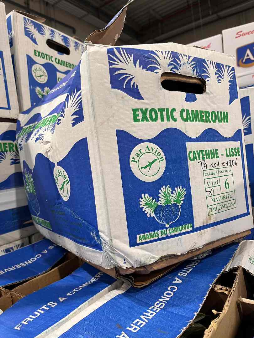 Ananas cayenne Exotic Fruit Cameroun : photo du produit rappelé le 28/02/2024