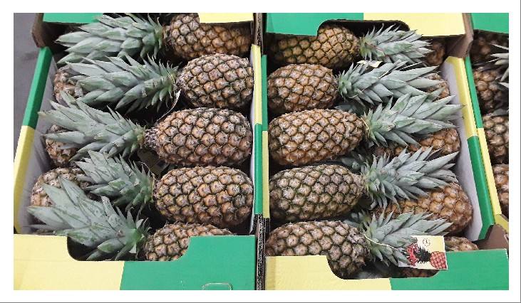 Ananas pain de sucre : photo du produit rappelé le 20/06/2024