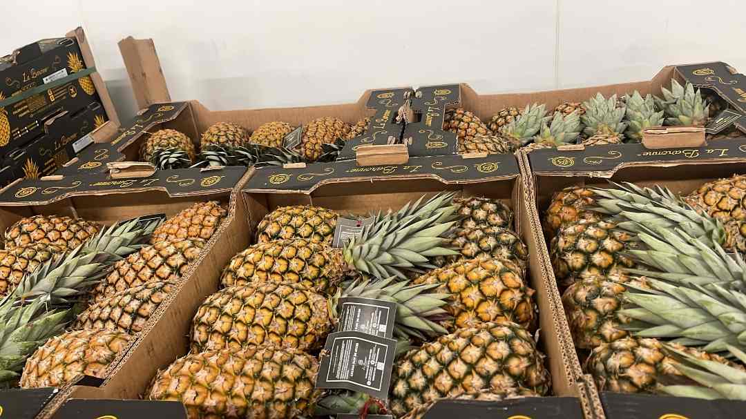 Ananas pain de sucre benin Baronne : photo du produit rappelé le 04/05/2026