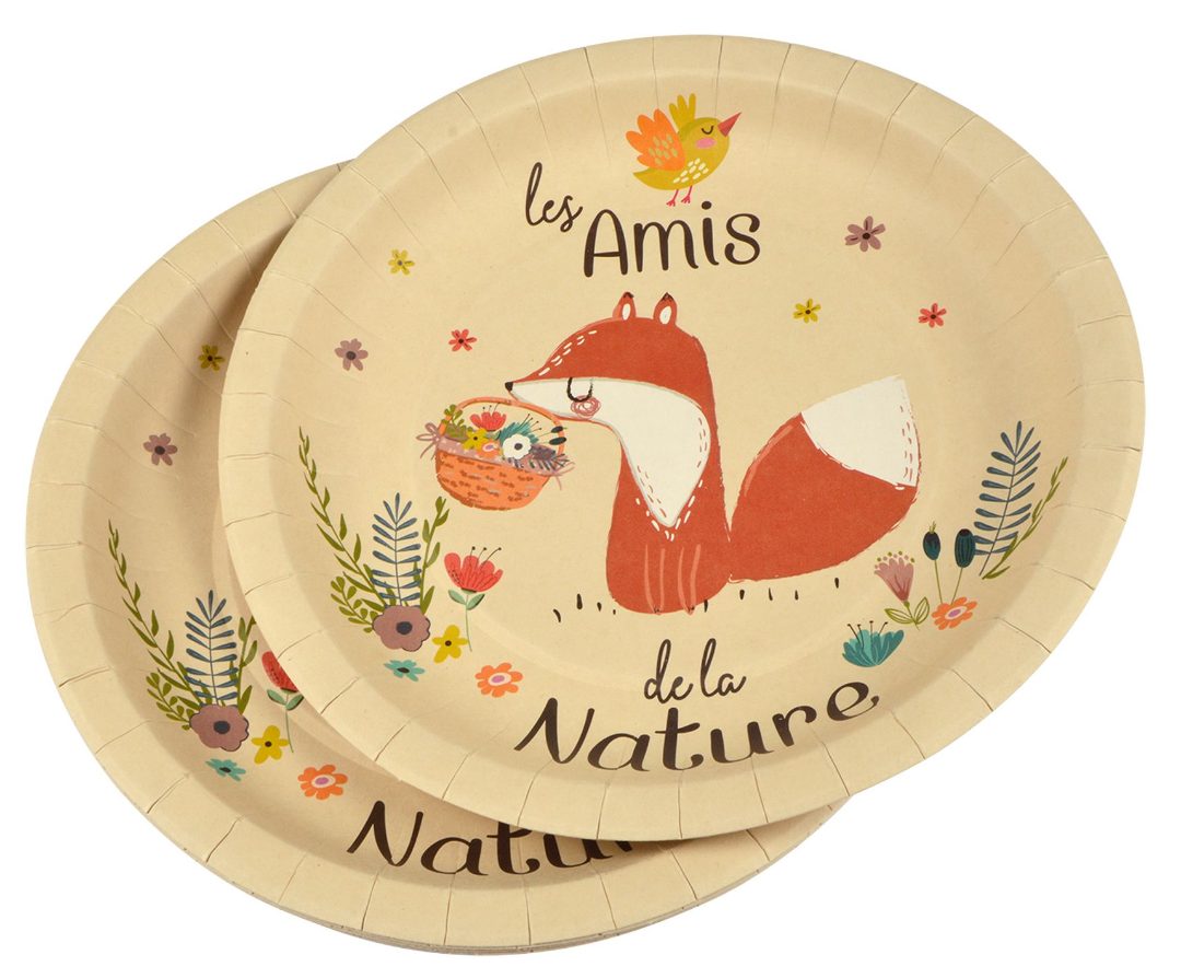 Assiettes en pulpe de bambou Rire et Confetti : photo du produit rappelé le 10/11/2022