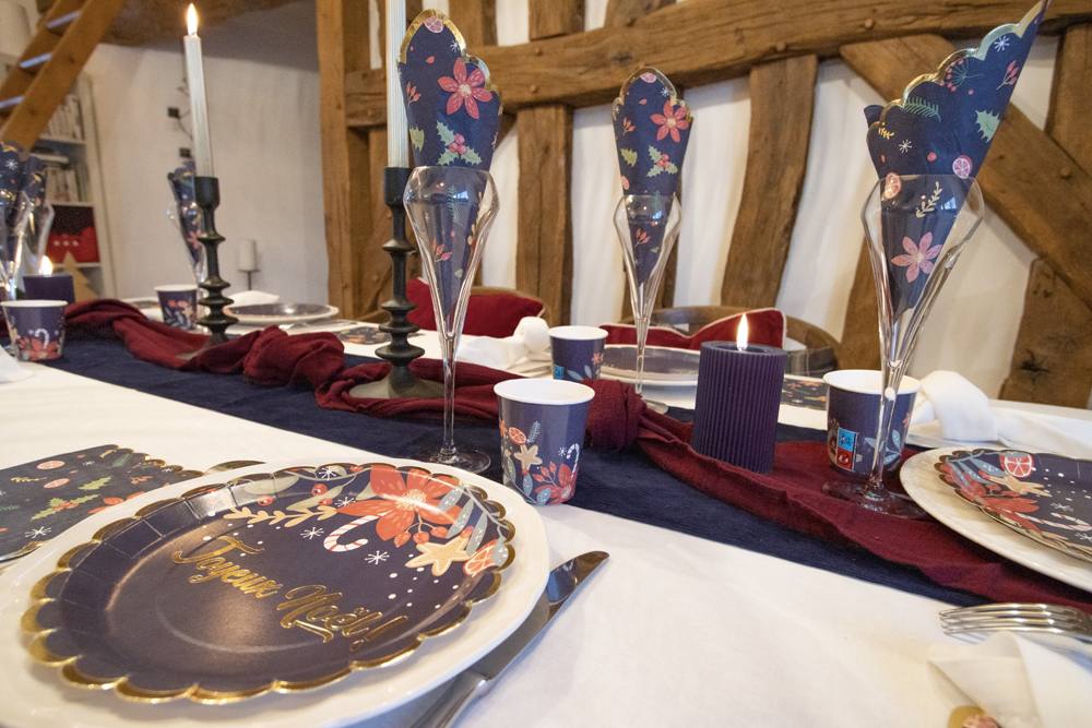 Assiettes festonnees 23cm nuit de noel x 8 Tim et Puce Factory : photo 3 sur 5 du produit rappelé le 03/11/2023