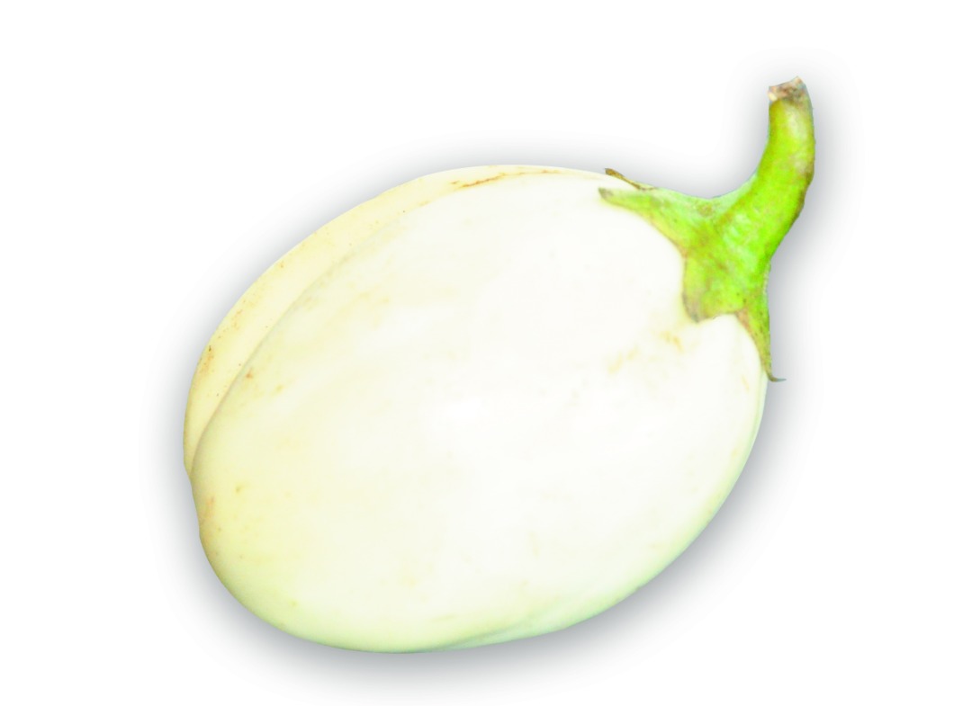 Aubergine blanche Agroburkina : photo du produit rappelé le 11/02/2026
