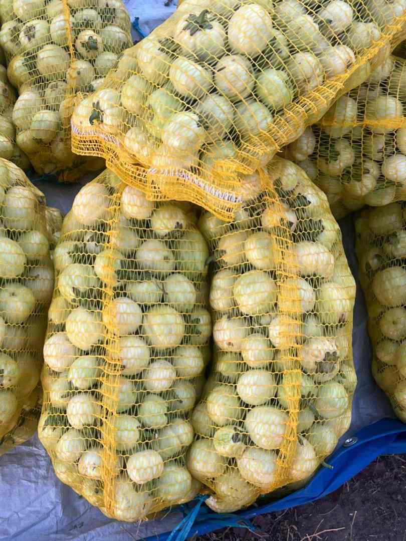 Aubergines fraîches venant du burkina faso Faso Mangoro : photo du produit rappelé le 18/02/2026