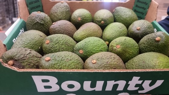 Avocat hass - afrique du sud Bounty : photo du produit rappelé le 24/10/2024
