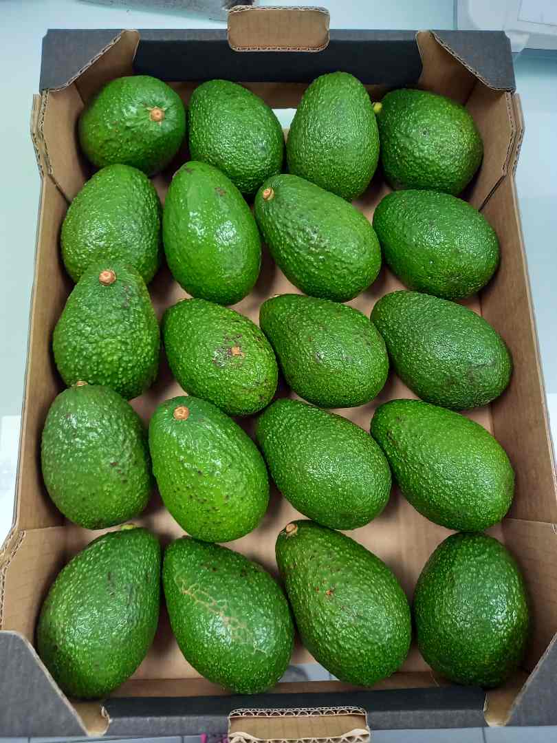 Avocat hass colombie br31987 Georges Helfer : photo du produit rappelé le 08/03/2024