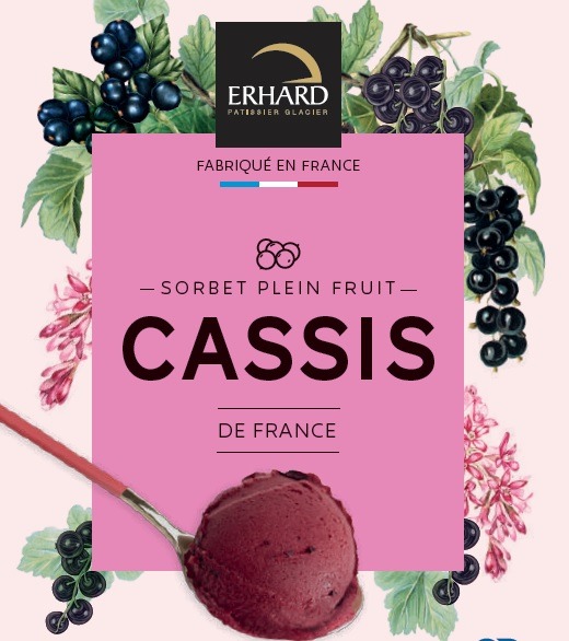 Bacs 500ml Erhard Pâtissier Glacier : photo du produit rappelé le 05/11/2021