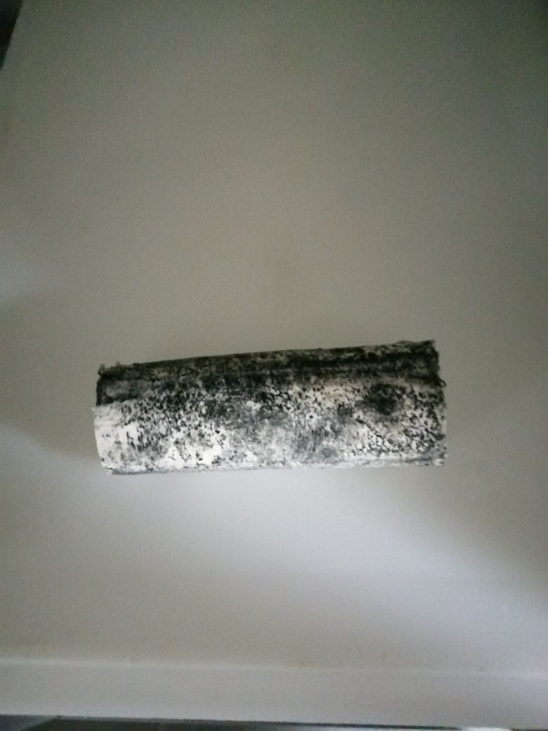 Buche de chèvre Gaec de la Baronnerie : photo du produit rappelé le 01/02/2024