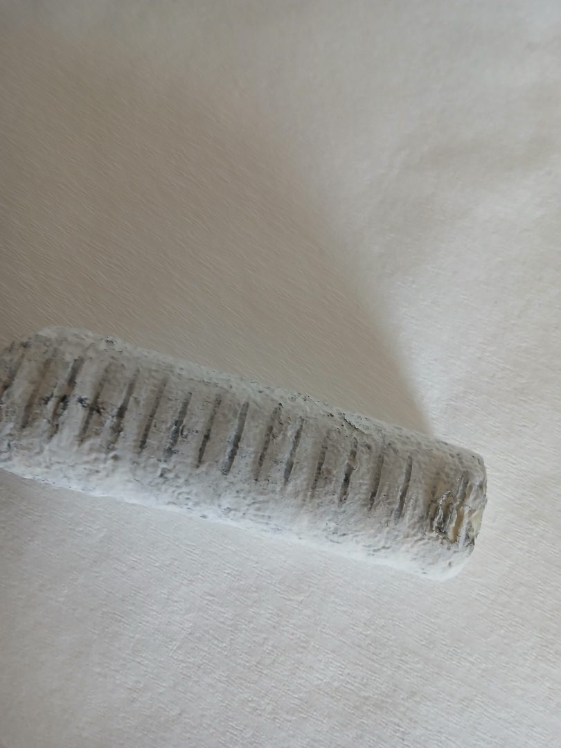 Buche fermier Fromage Fermier Type ST Maure de Touraine Buche : photo du produit rappelé le 24/07/2024