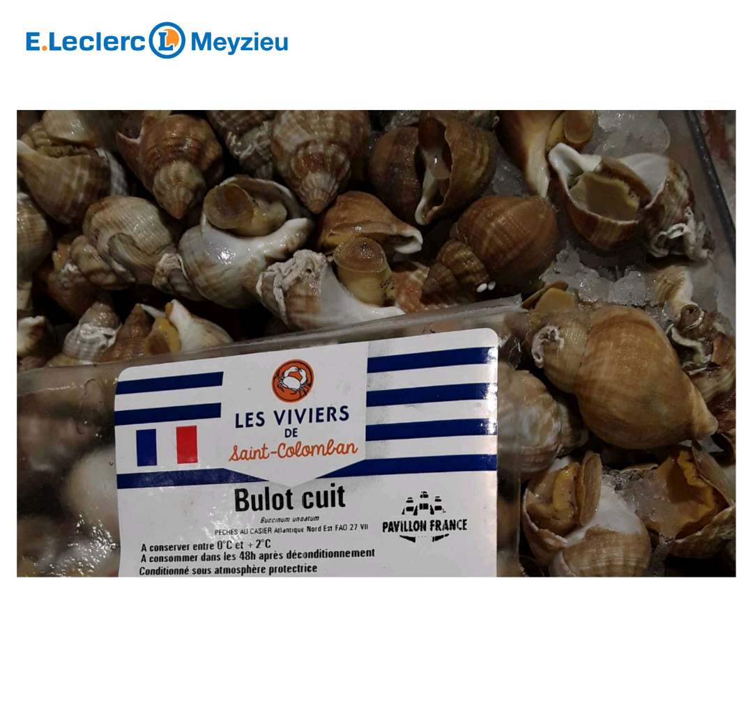 Bulot cuit Les Viviers de Saint Colomban : photo du produit rappelé le 03/07/2023