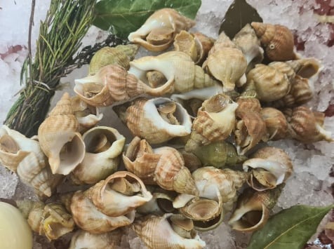 Bulots cuits, bigorneaux cuits, nasses cuites, murex cuits Thaeron : photo du produit rappelé le 22/09/2023