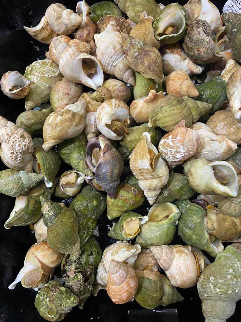 Bulots cuits E.Leclerc Atout Sud : photo du produit rappelé le 14/11/2023