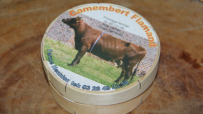 Camembert flamand : photo du produit rappelé le 25/03/2024