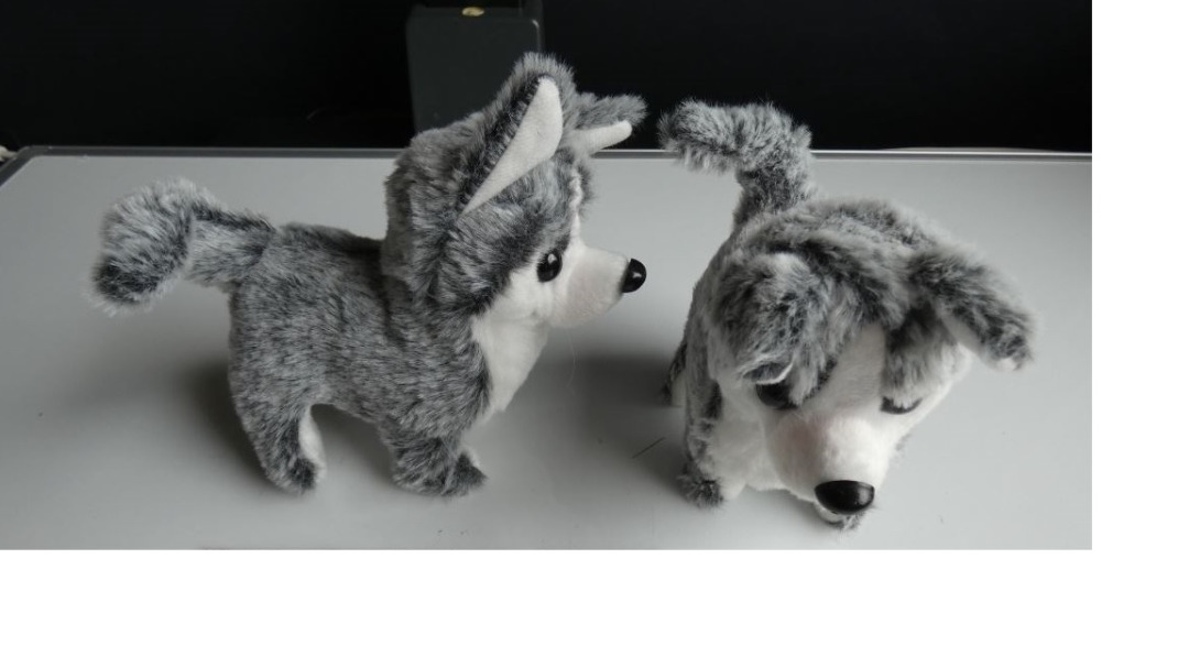 Chien à pile : photo du produit rappelé le 05/08/2022