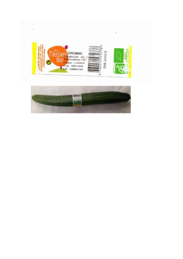 Concombre long lisse biologique Les Paysans BIO : photo du produit rappelé le 16/07/2021