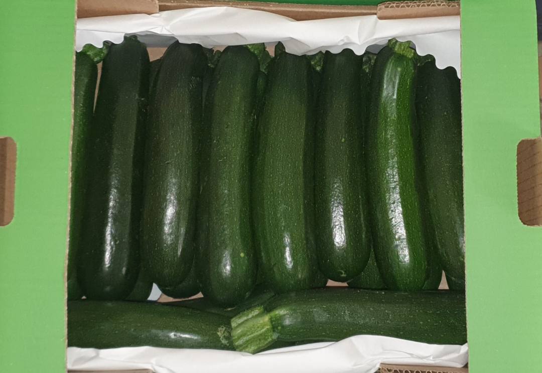 Courgette Anteus : photo du produit rappelé le 27/03/2026
