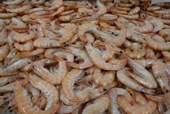 Crevette cuite refrigeree 20/30 p. notialis sauvage op 2kg : photo du produit rappelé le 05/08/2026
