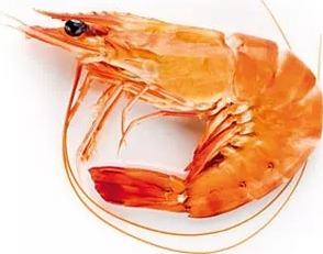 Crevette sauvage cuite 40/60 pêchée en océan indien : photo du produit rappelé le 24/07/2026