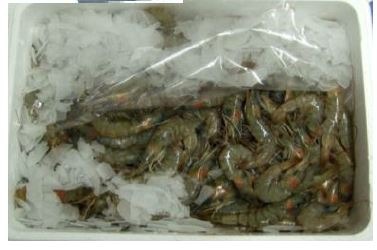 Crevettes 60/80 crues décongelées : photo du produit rappelé le 23/08/2022