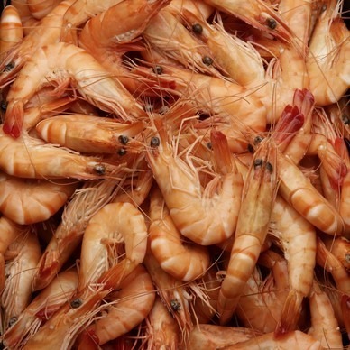 Crevettes cuites 20/30 : photo du produit rappelé le 06/08/2026