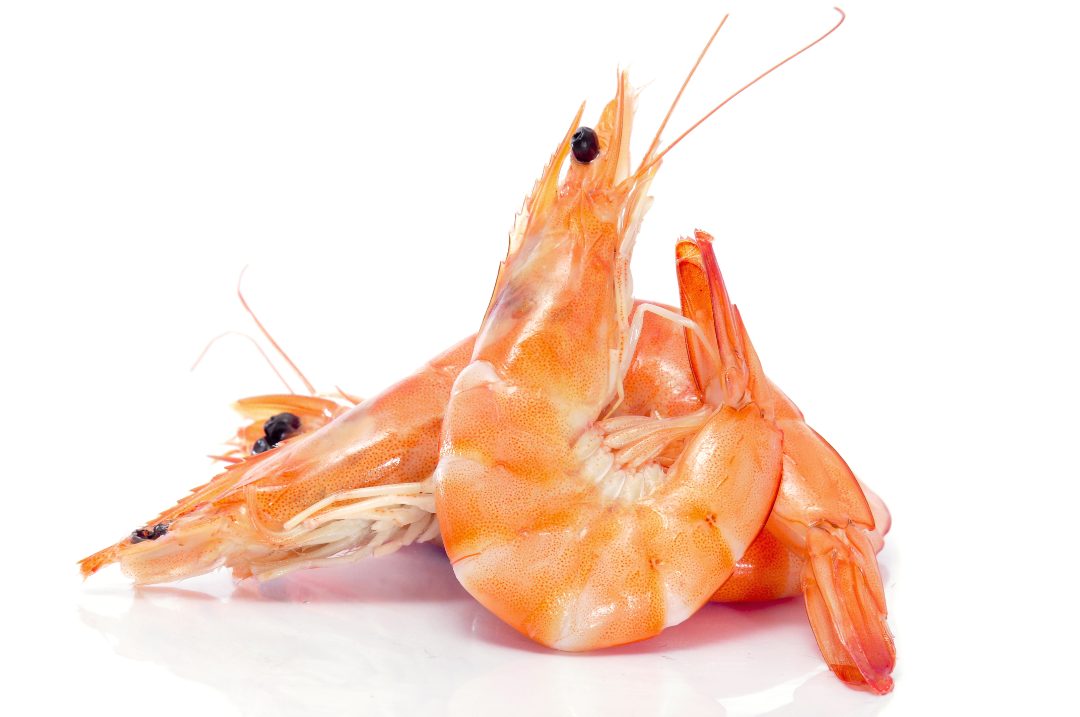 Crevettes cuites 60/80 : photo du produit rappelé le 05/12/2025