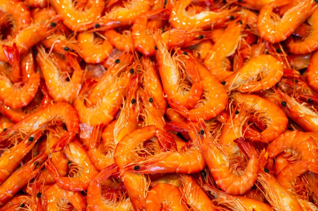 Crevettes cuites réfrigérées 60/80 élevées au vénézuela : photo du produit rappelé le 22/04/2025