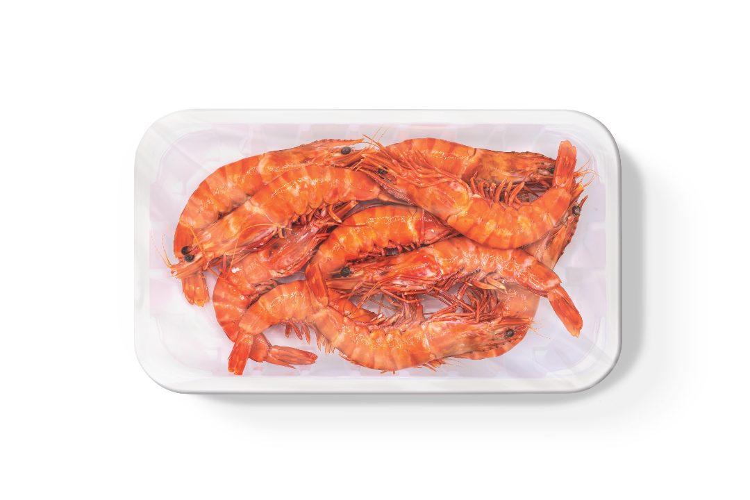 Crevettes cuites réfrigérées sauvages : photo du produit rappelé le 24/10/2023