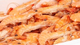 Crevettes cuites sauvages 40/60 pechees en ocean indien : photo du produit rappelé le 24/07/2026