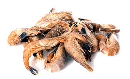 Crevettes grises cuites : photo du produit rappelé le 22/12/2025