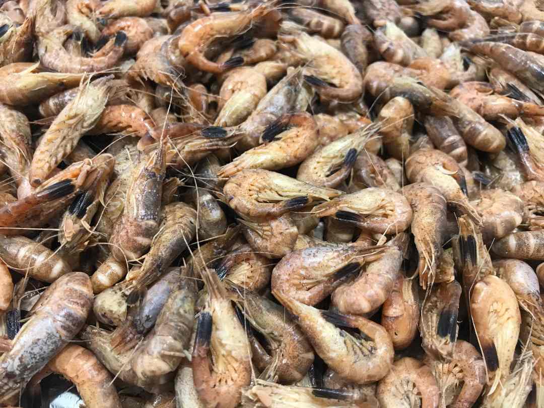 Crevettes grises cuites : photo du produit rappelé le 10/06/2026
