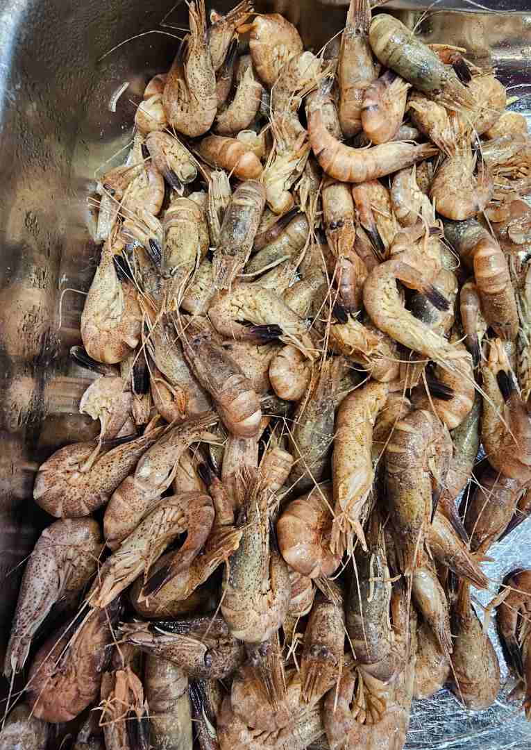 Crevettes grises cuites non décortiquées : photo du produit rappelé le 17/10/2025