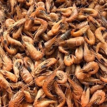 Crevettes grises grosses cuites non decortiquees Van Belzen : photo du produit rappelé le 11/03/2026