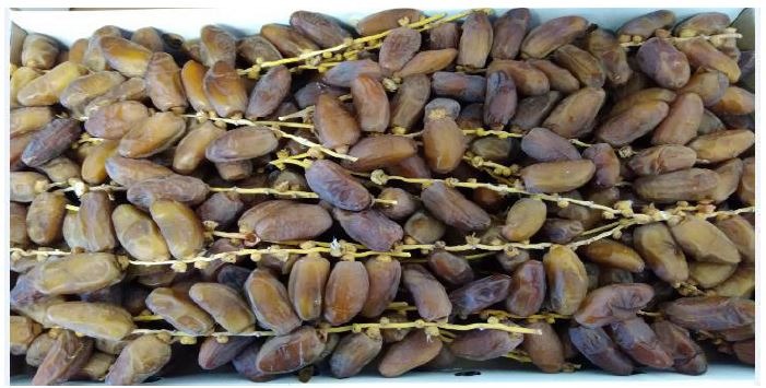 Dattes branchées biologique Bostane Agro : photo du produit rappelé le 23/08/2024