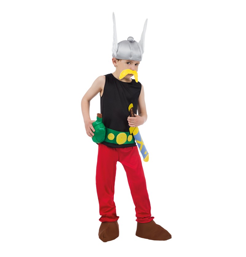 Déguisement asterix 9 pièces – asterix® Chaks Sarl : photo du produit rappelé le 19/12/2025