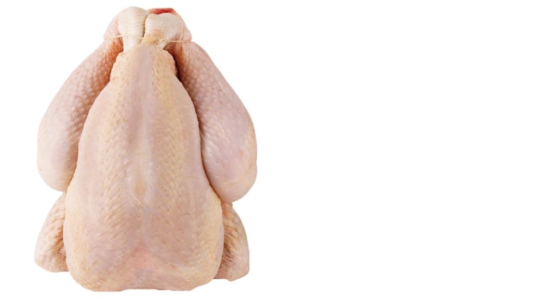 Dinde prete a cuire Le Gaulois Professionnel : photo du produit rappelé le 12/01/2024