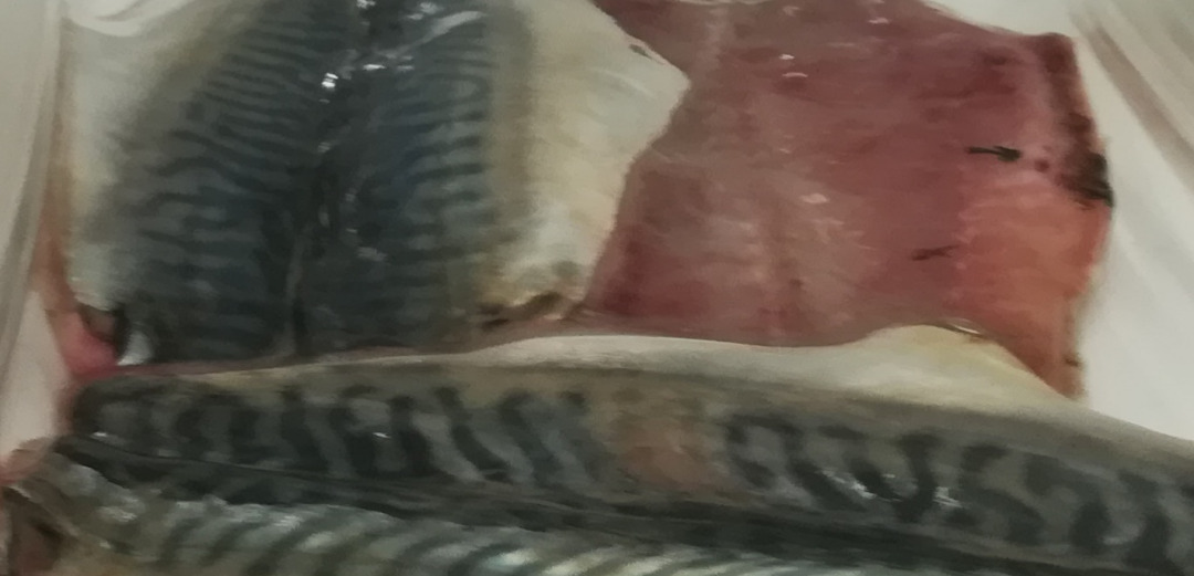 Filet de maquereau : photo du produit rappelé le 02/09/2022