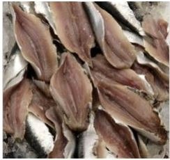 Filet de sardine U : photo du produit rappelé le 11/08/2023