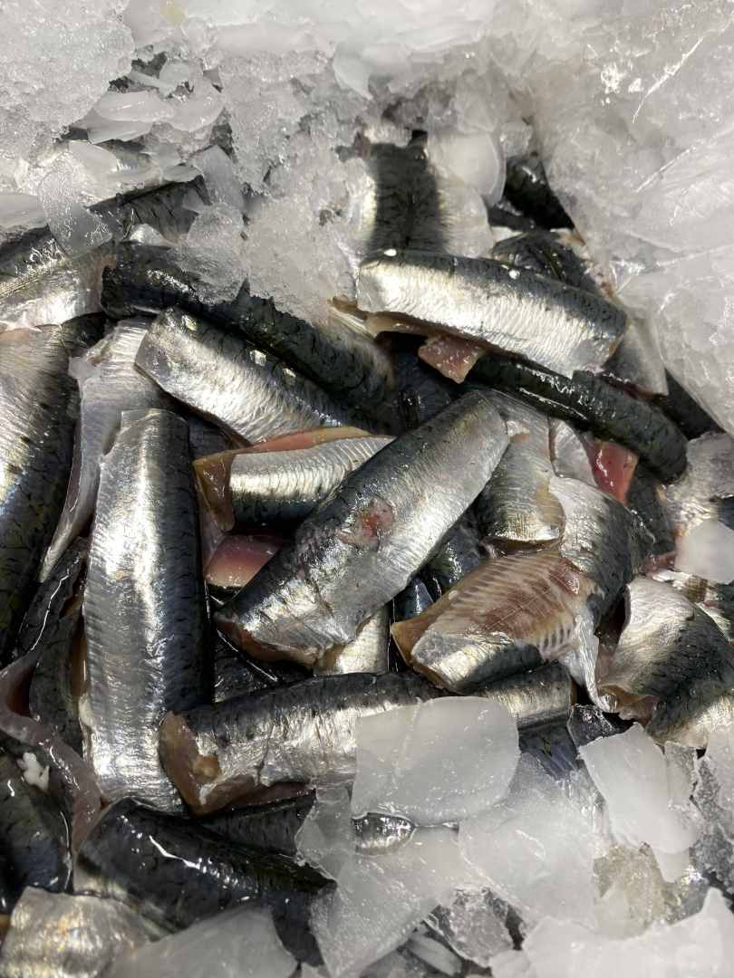 Filet de sardine : photo du produit rappelé le 23/08/2024