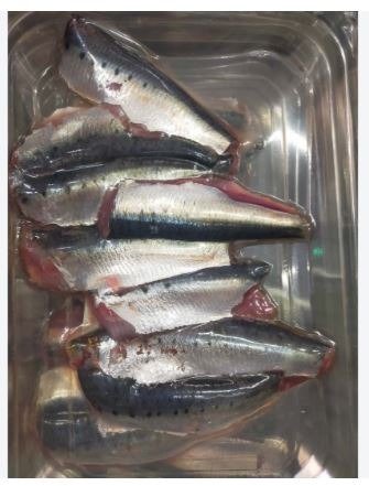 Filet de sardine : photo du produit rappelé le 21/10/2026