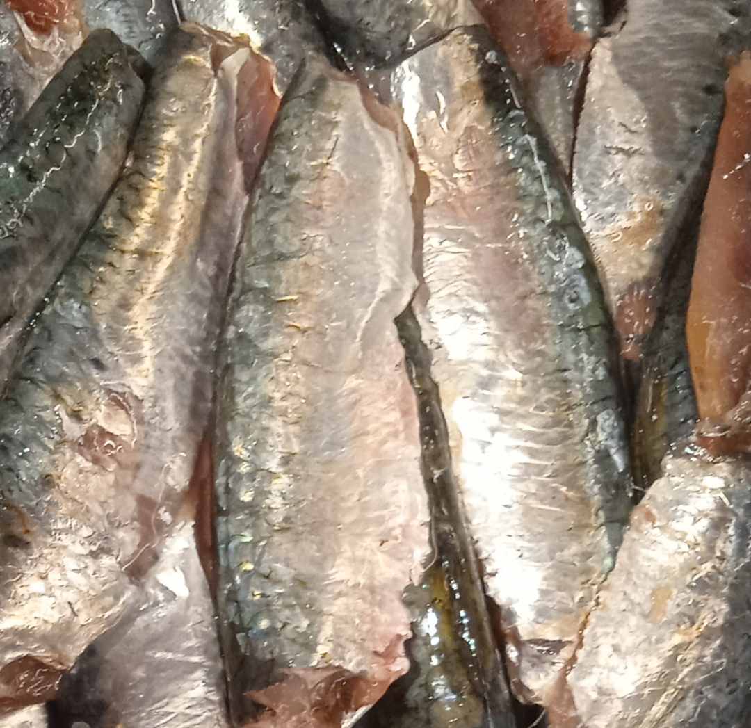 Filet de sardine mach p/ane Marque Fournisseur : photo du produit rappelé le 18/08/2021