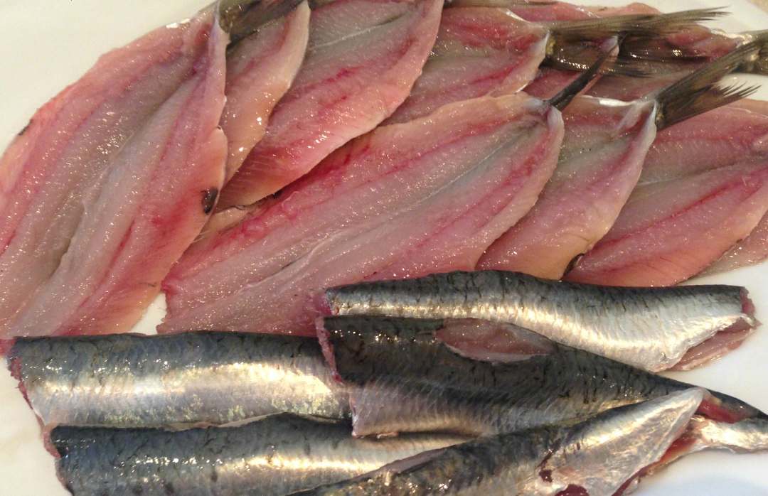 Filet de sardine Negofish : photo du produit rappelé le 03/06/2024