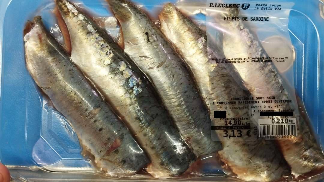 Filet de sardine sous skin : photo du produit rappelé le 11/07/2024