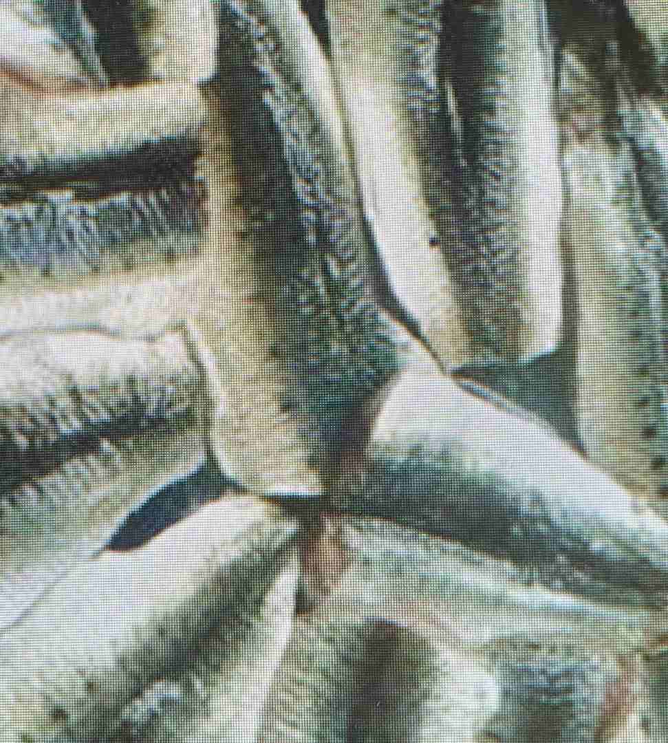 Filets de sardine vrac Capitaine Houat : photo du produit rappelé le 22/05/2026