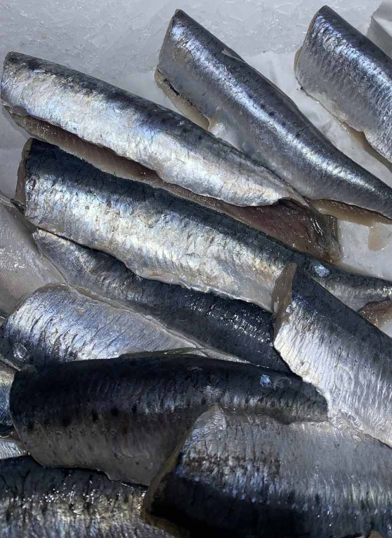Filets de sardines : photo du produit rappelé le 18/11/2024