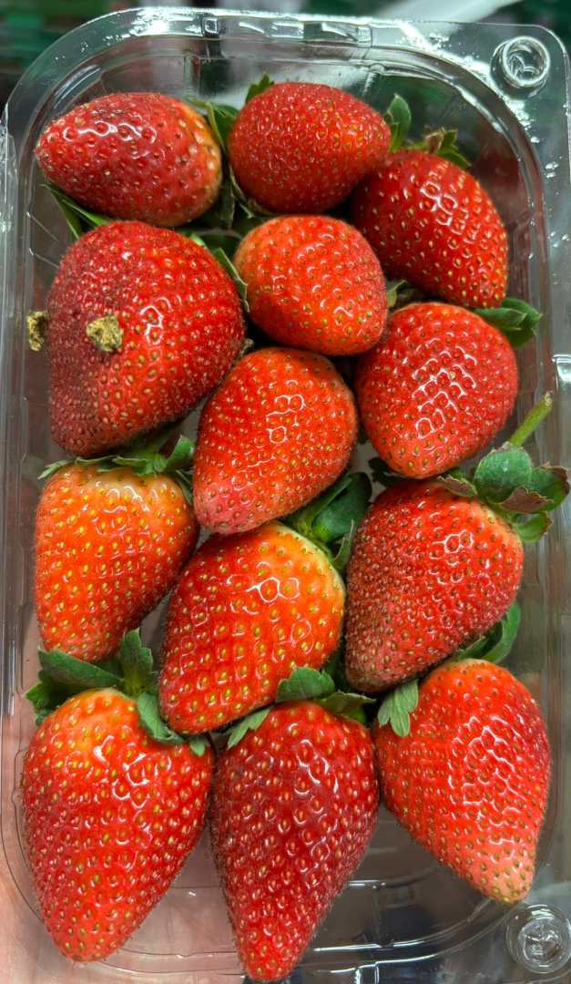 Fraise 10x250g origine egypte- marque commerciale Helwann Uniquement : photo du produit rappelé le 29/11/2024