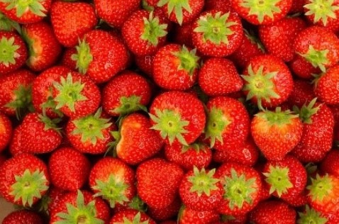 Fraise : photo du produit rappelé le 19/03/2026