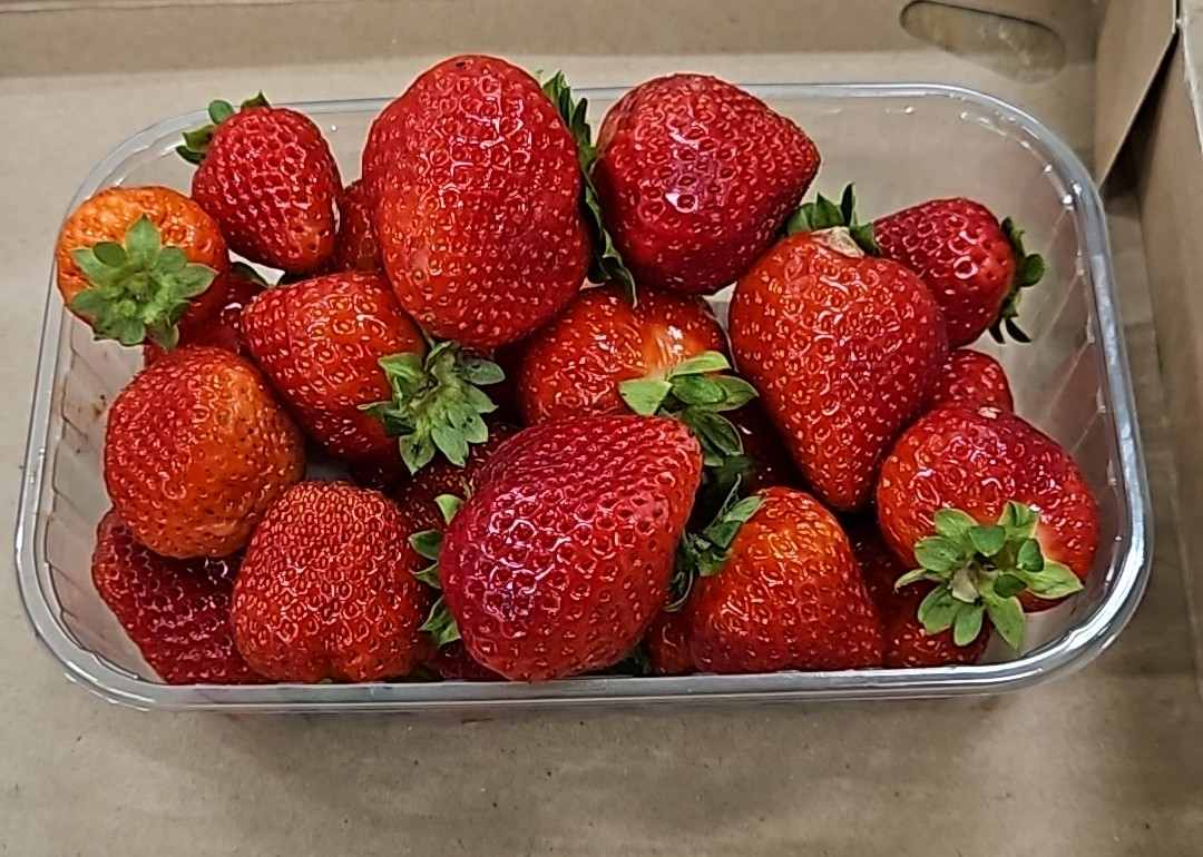 Fraise alsace hve3 barquette 500g nue : photo du produit rappelé le 28/07/2023