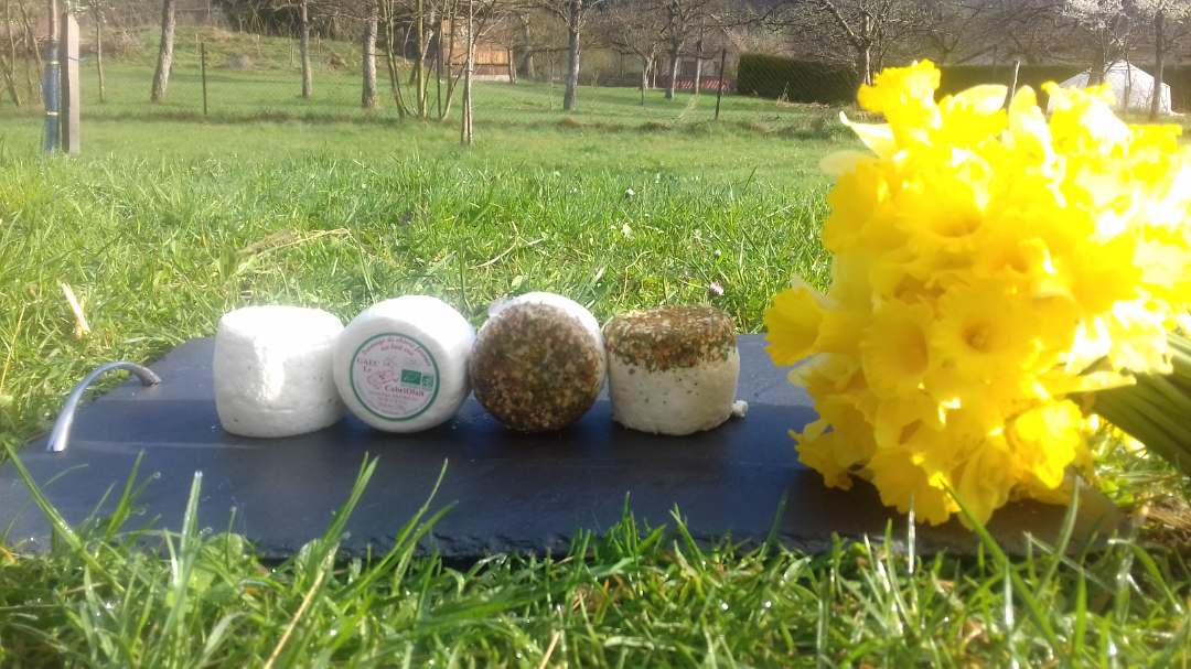 Fromage de chevre au lait cru : photo du produit rappelé le 25/03/2025